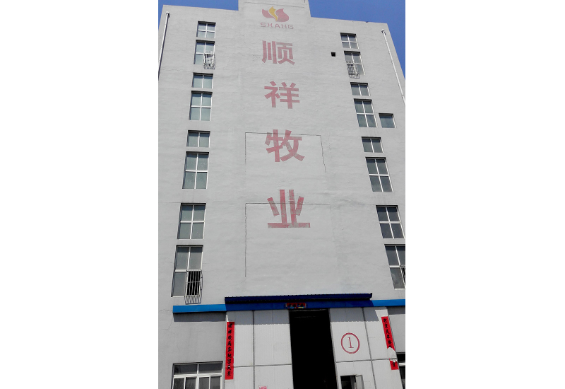 1650760239151769.jpg 19.jpg