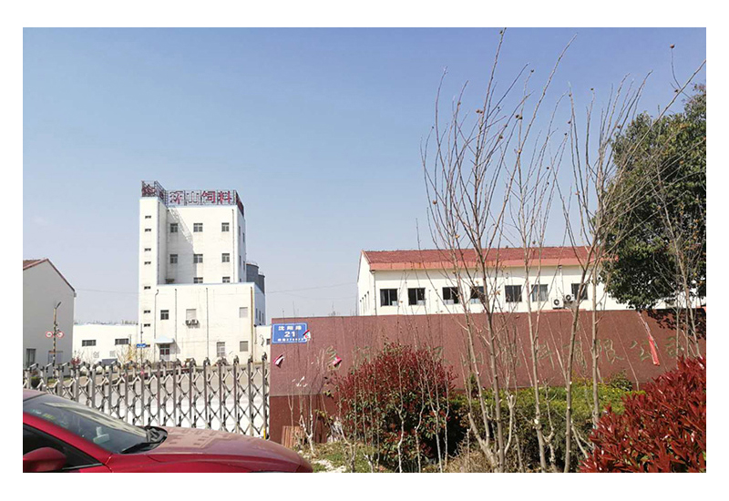 1650760644209996.jpg 27.jpg